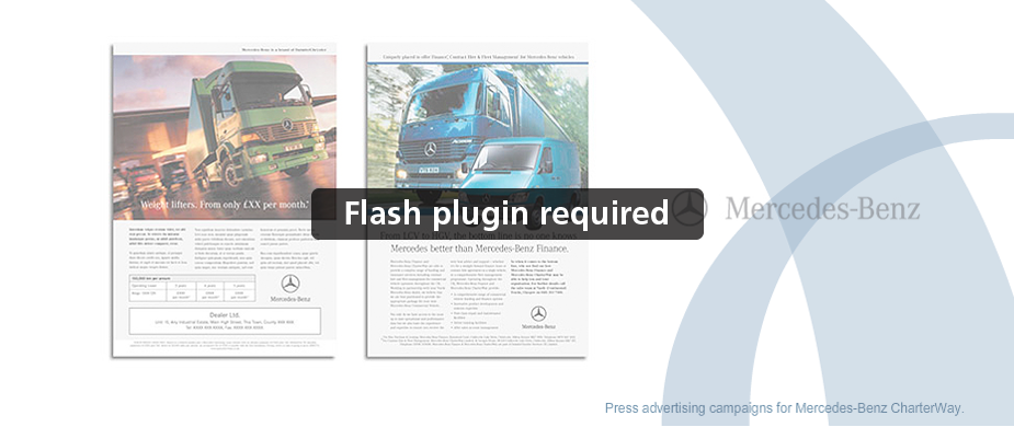 Flash Replacement Image