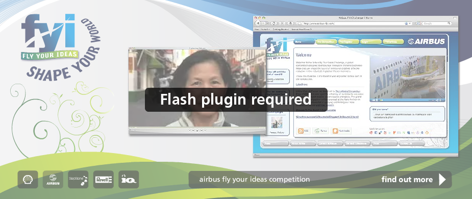 Flash Replacement Image