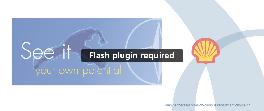 Flash Replacement Image