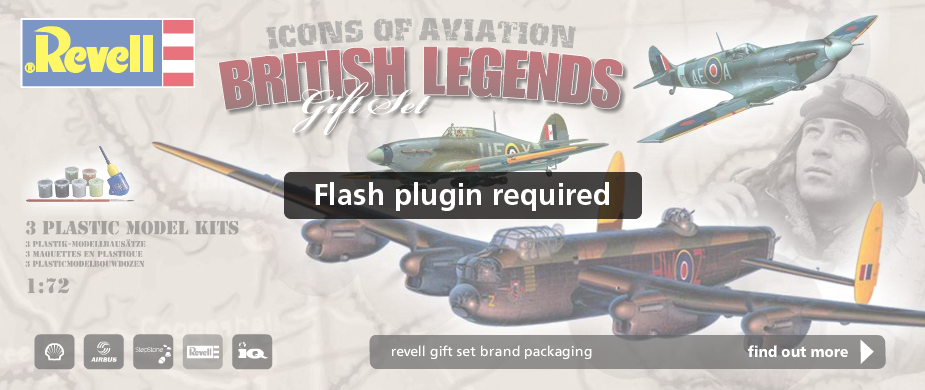 Flash Replacement Image