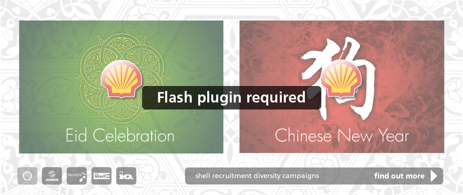 Flash Replacement Image
