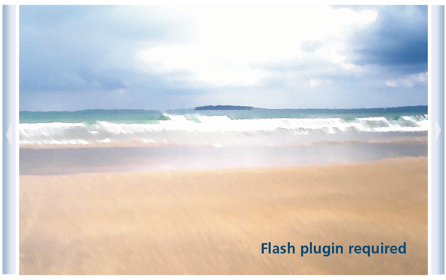 Flash Replacement Image
